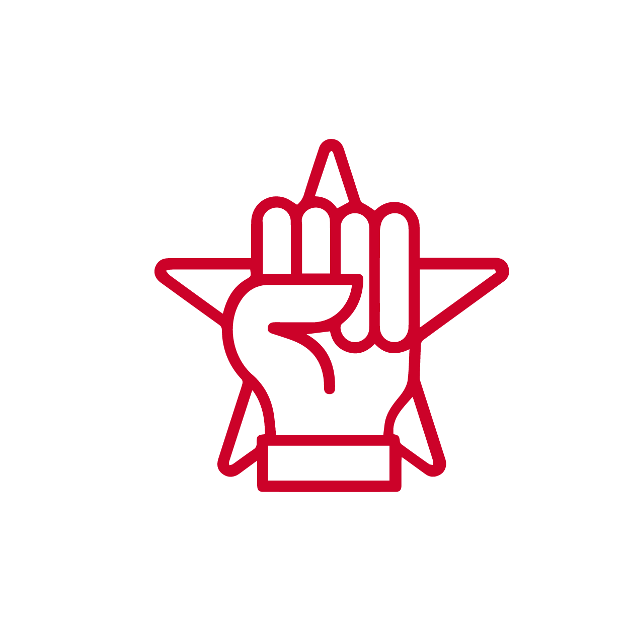 实战派专业团队